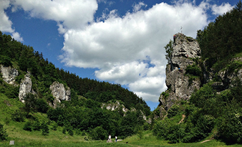 kobylanska