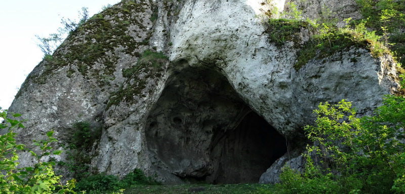 Bisnik