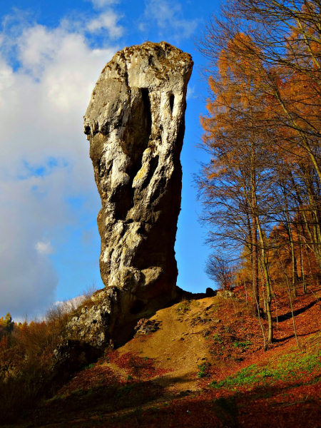 Maczuga Herkulesa