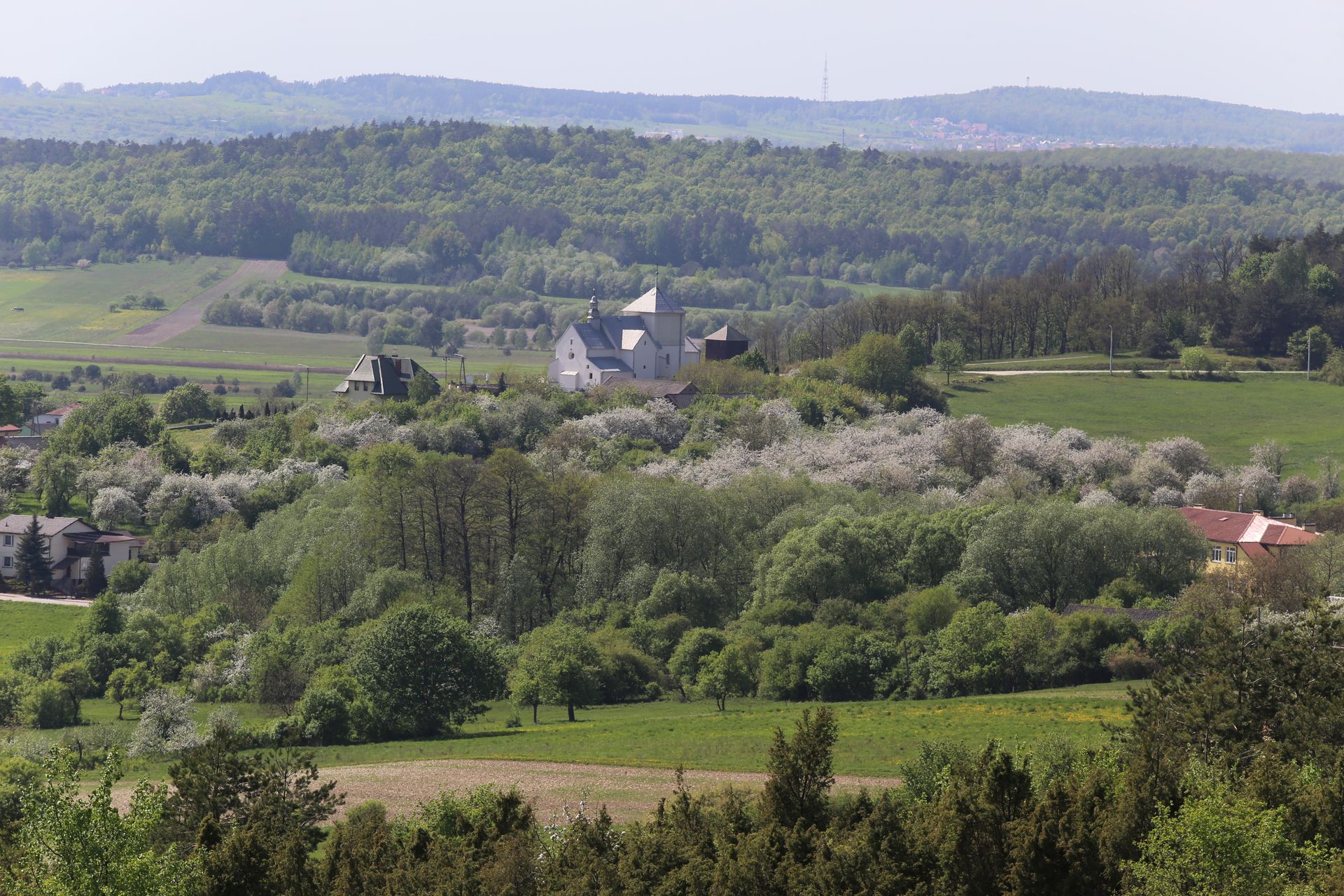 grzywy korzeczkowskie img 3430 fot lukasz zarzycki