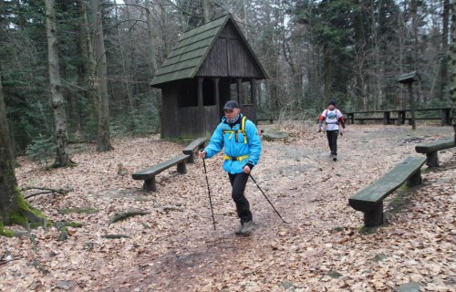 Relacja z I Maratonu Pieszego Przedwiośnie, czyli przeżyjmy to jeszcze raz!