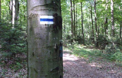 Szlak niebieski Kapliczka Świętego Mikołaja-Wał Małacentowski