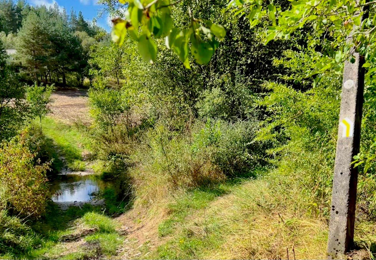 03. Bród na Łagowicy. Fot. Andrzej Jóźwiak