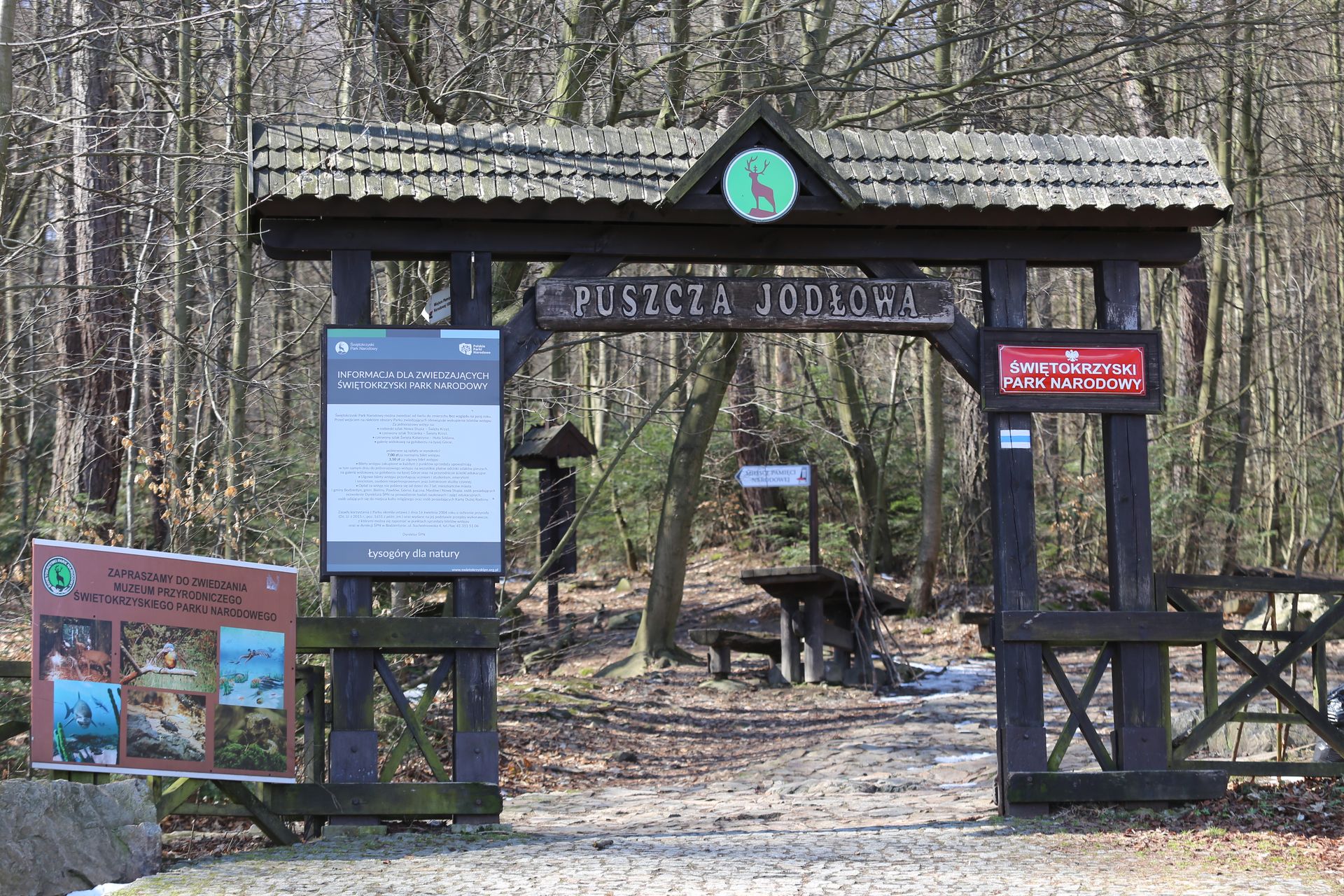 swietokrzyski park narodowy img 8454 fot lukasz zarzycki