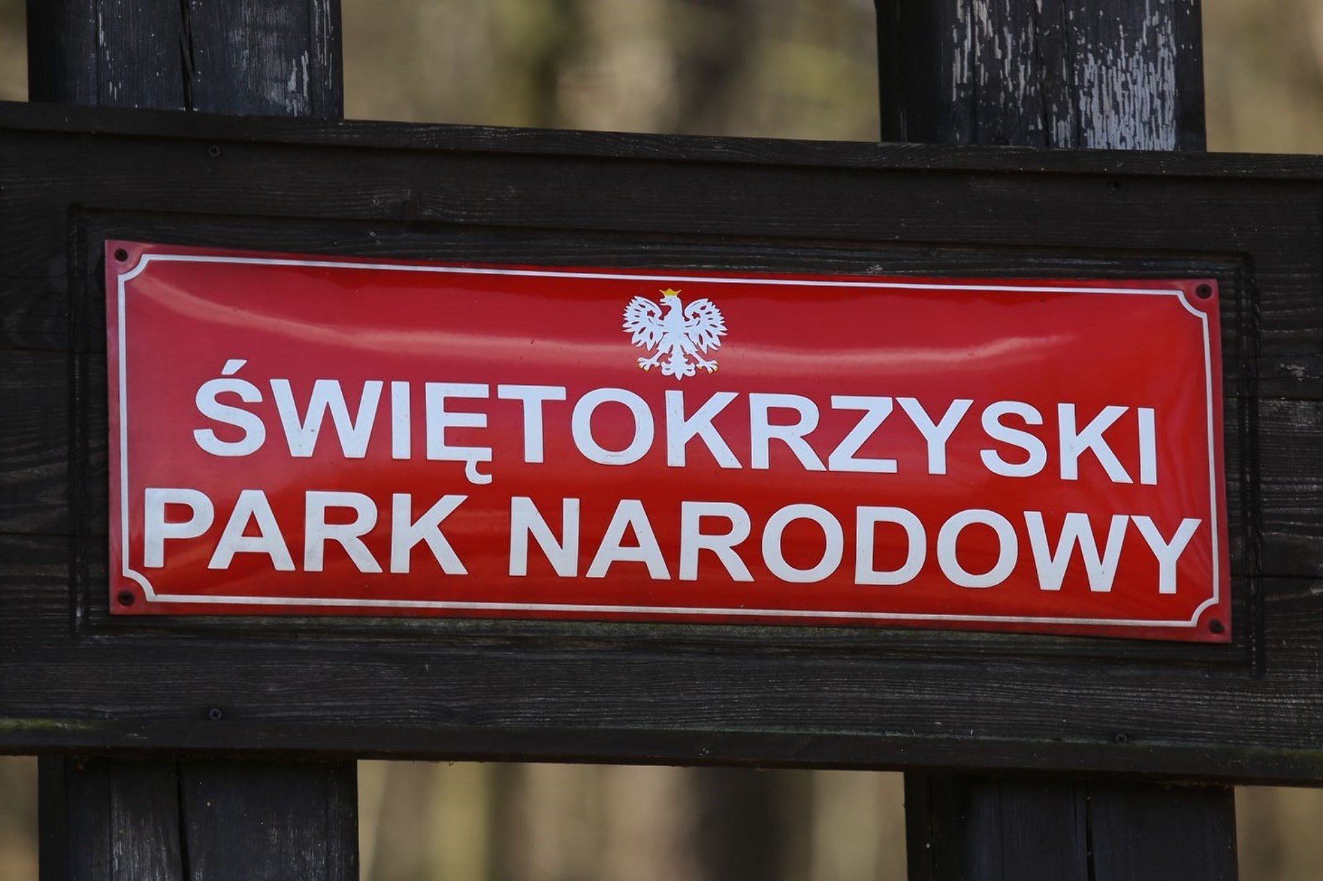 swietokrzyski park narodowy img 8456 fot lukasz zarzycki kopia1