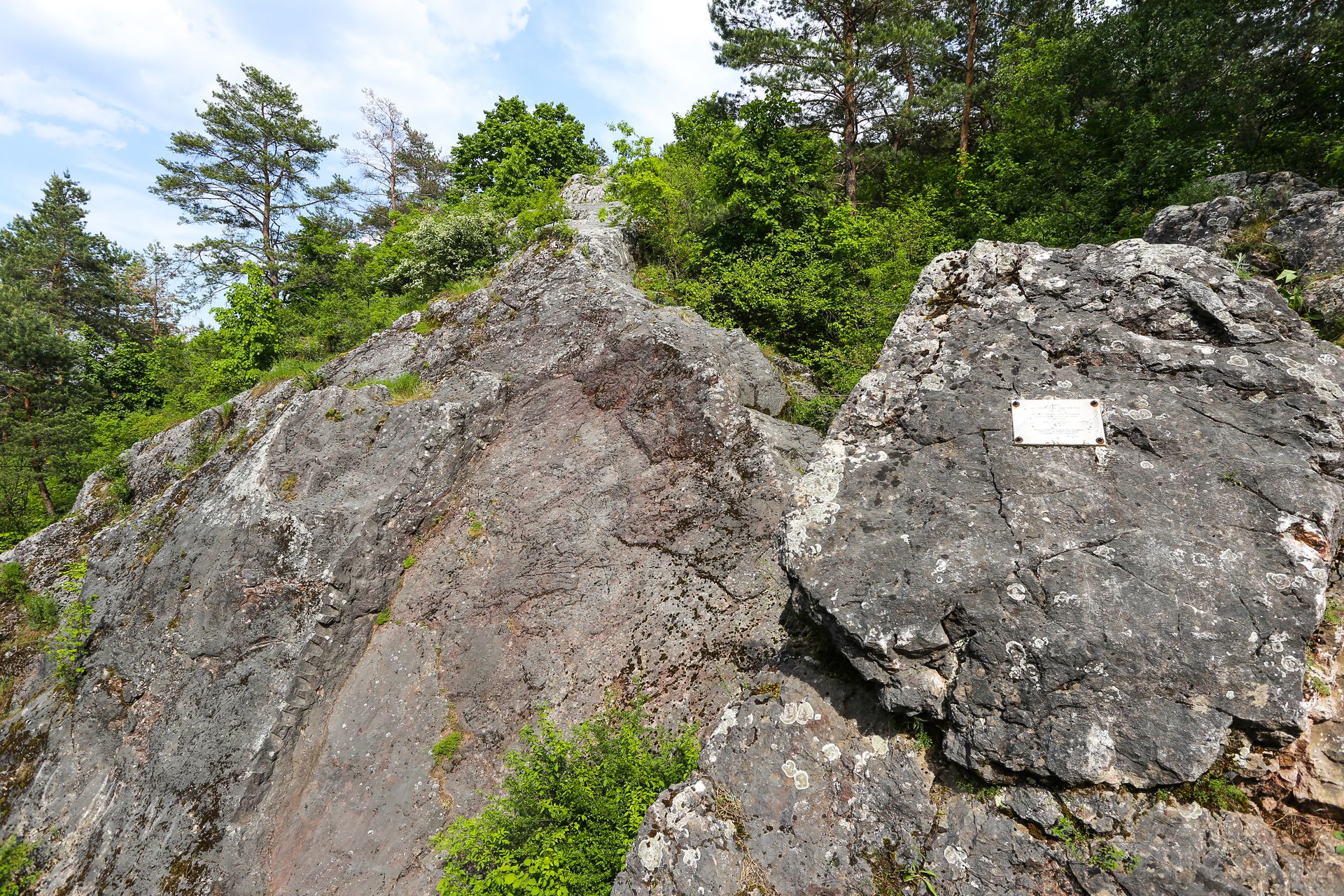 Zelejowa, 29.05.2016 r. Rezerwat przyrody Gora Zelejowa. Fot. Lukasz Zarzycki / www.lukaszzarzycki.pl / www.geopark.pl